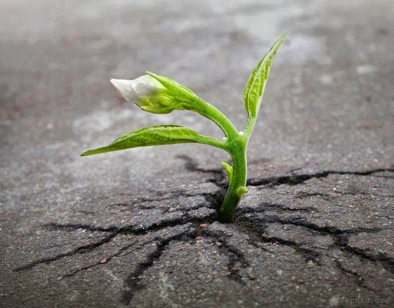Giá trị đích thực của con người không nằm ở những thứ bề ngoài. (Ảnh: lantoa.net)